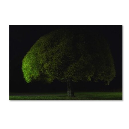 Trademark Fine Art